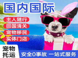 泰州机场邮寄国际宠物托运 【国